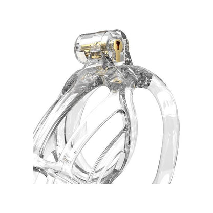 Cage à pénis transparente