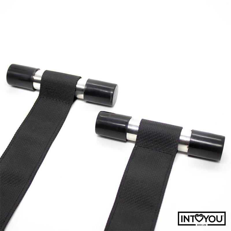 Balançoire de porte INTOYOU